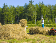 RWG Bassum - Harpstedt eG - Geschäftsfelder